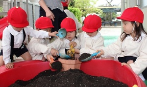 BL-20150421-01 (1).jpg